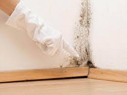 Best Emergency Mold Remediation  in Charlestown, MD